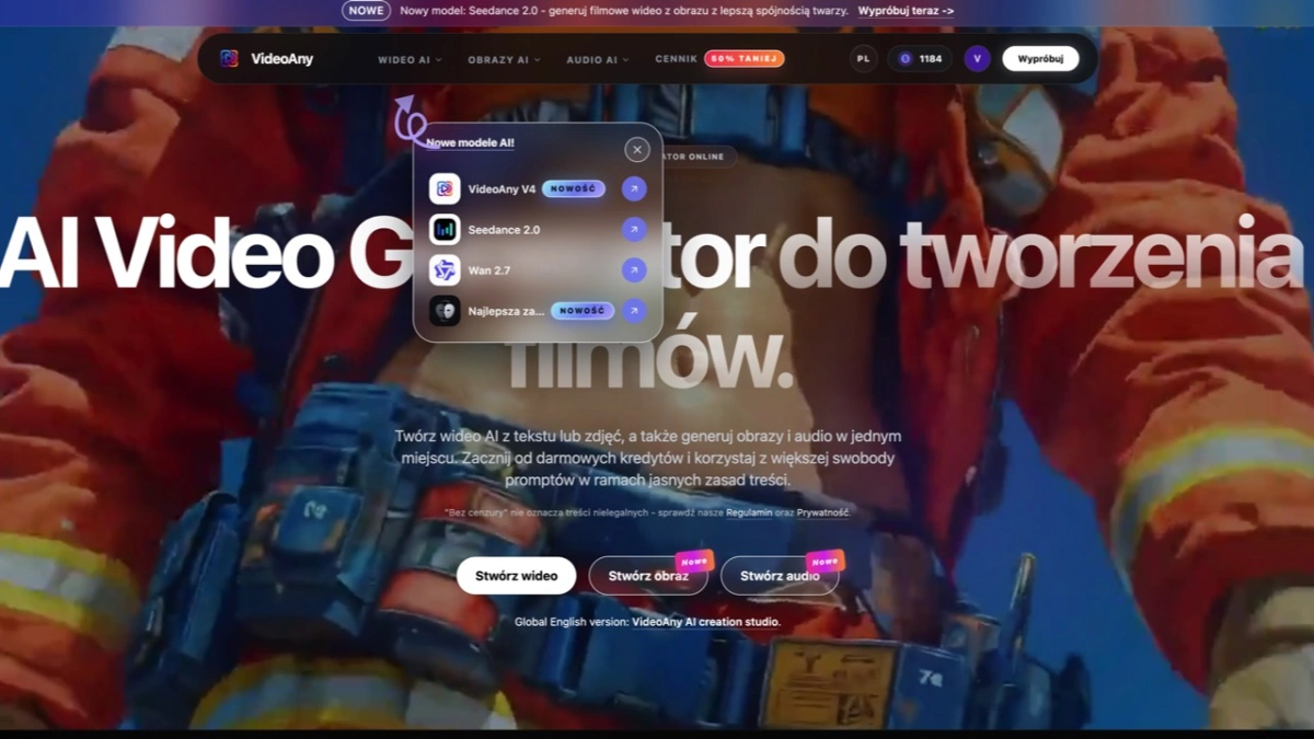 VideoAny PL preview