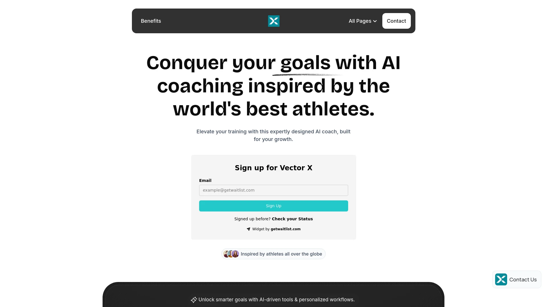 Vector X website preview