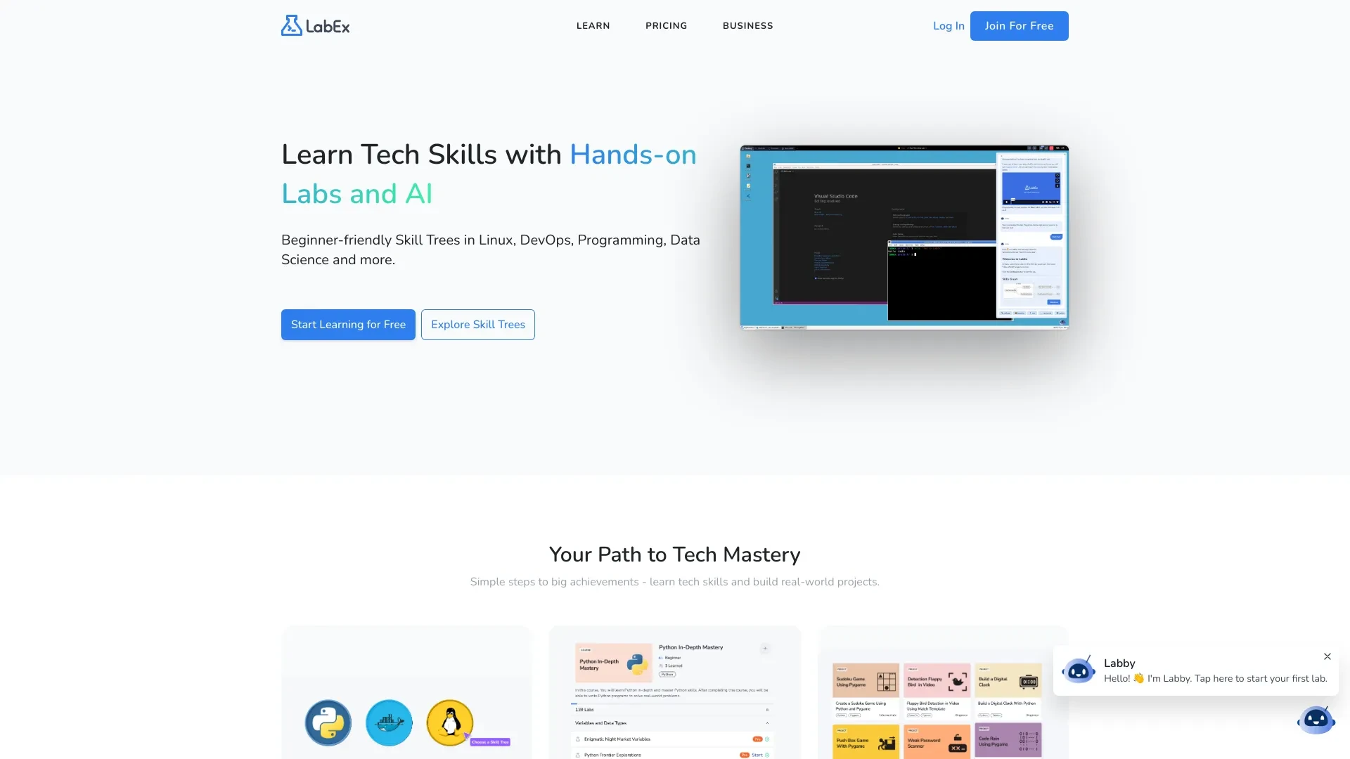 LabEx website preview