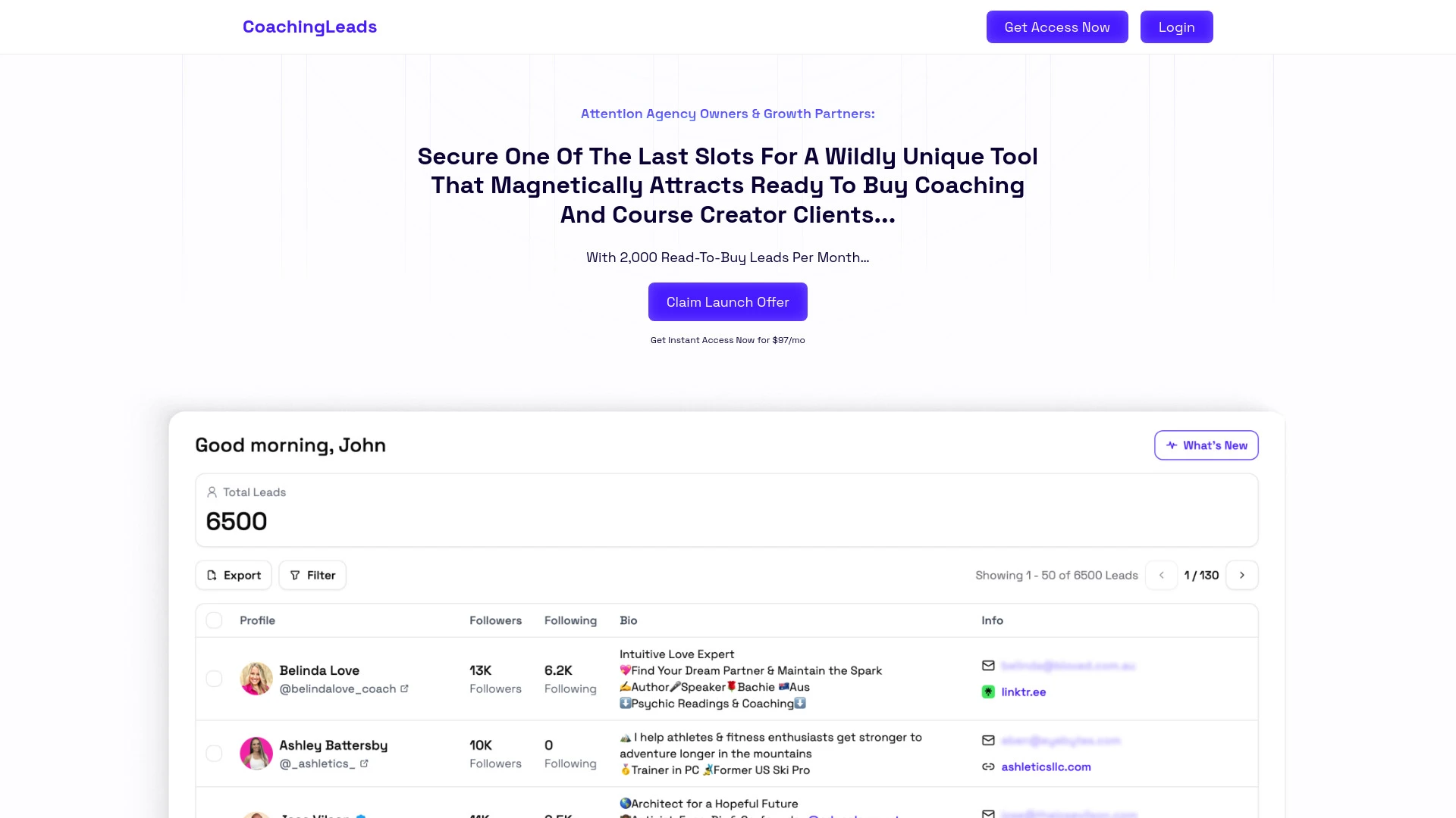 CoachingLeads website preview
