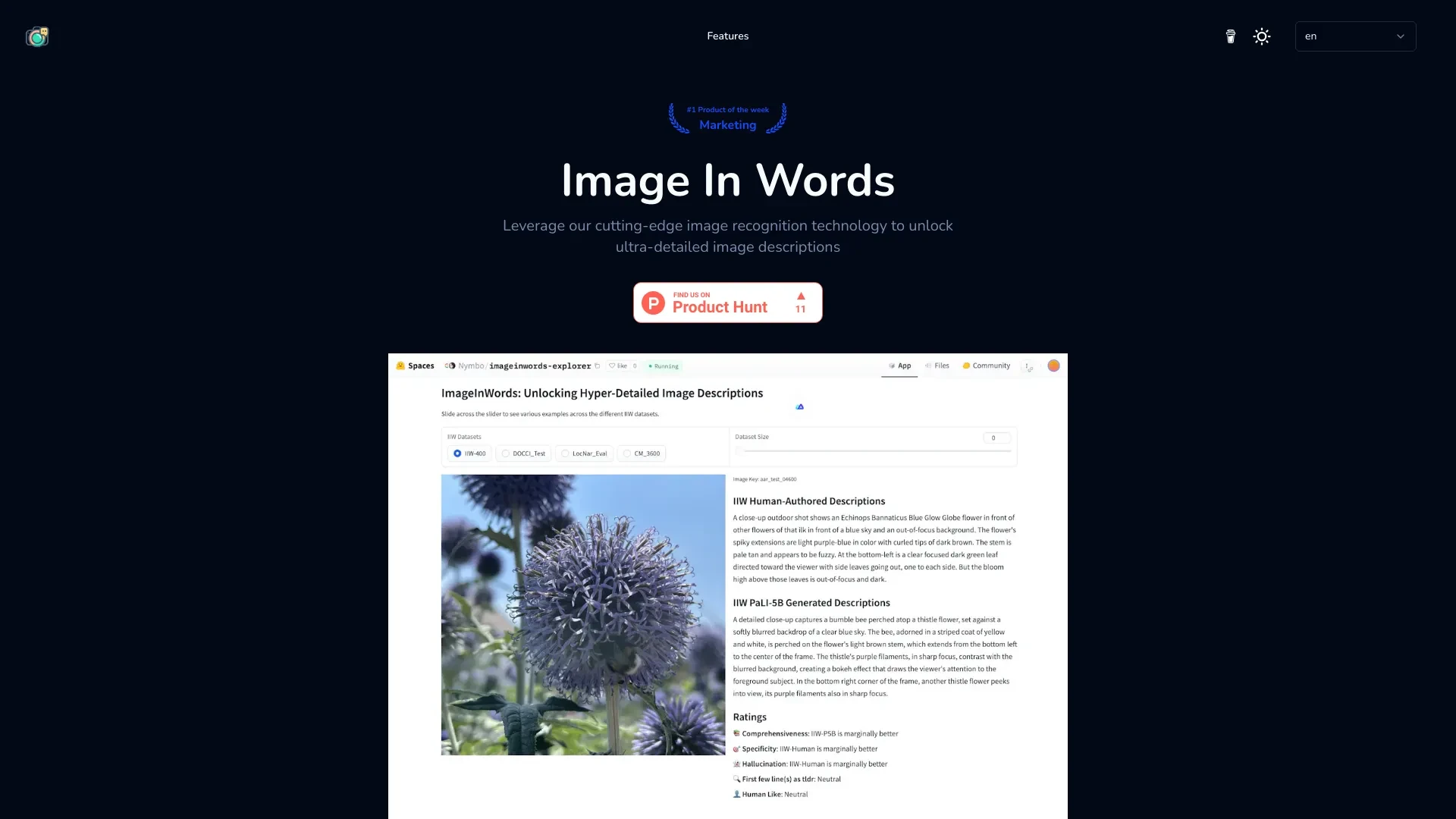 Image In Words website preview