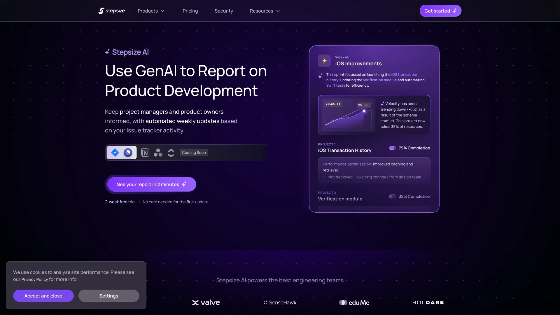 Stepsize AI website preview